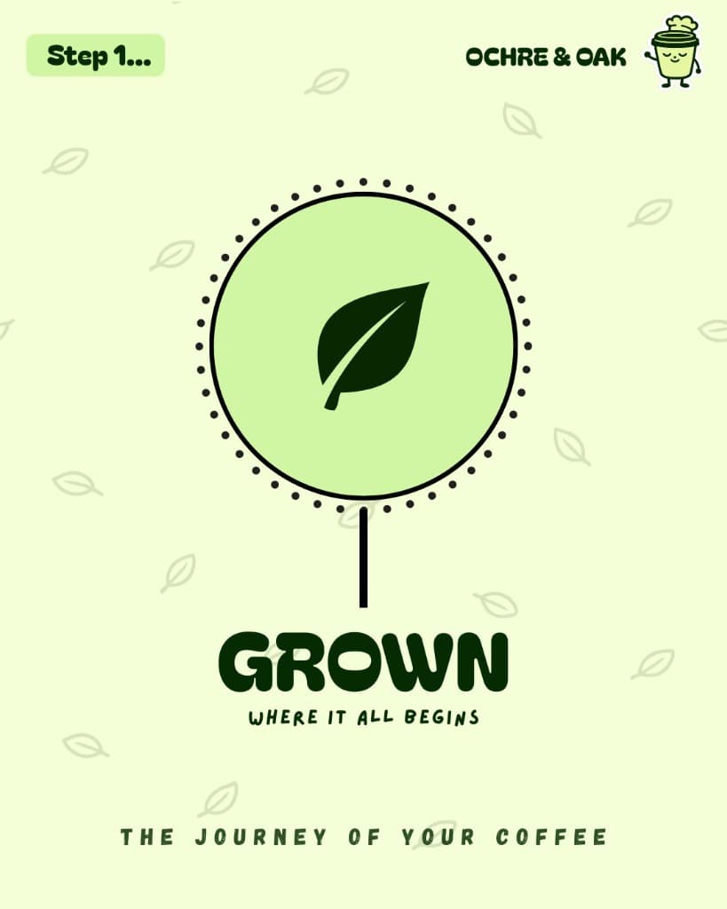 Day 2 — Slide 1 of 5 (Grown)